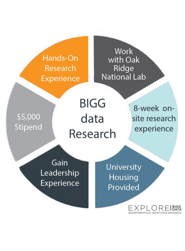 Highlights of the BiGG Data Research experience