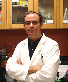 Dr. Juan Ferre Manzanero