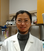 Dr. Likun Long