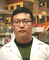 Lin Niu