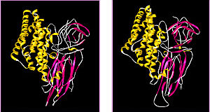 3-dimensional structures